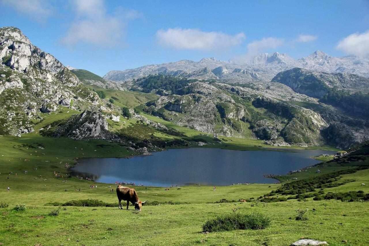 Casa Rural La Carrozal Senda Del Oso Orelleiru Ngoại thất bức ảnh