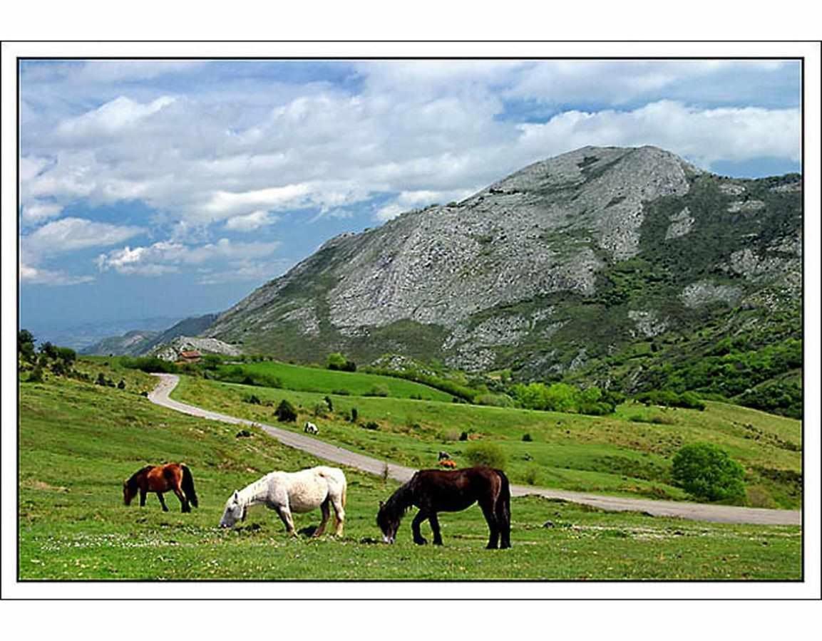 Casa Rural La Carrozal Senda Del Oso Orelleiru Ngoại thất bức ảnh