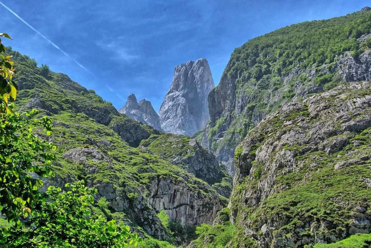 Casa Rural La Carrozal Senda Del Oso Orelleiru Ngoại thất bức ảnh
